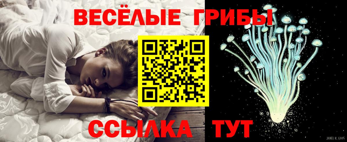 Кирово-Чепецк  Галлюциногенные грибы ЛСД  Вход с VPN 