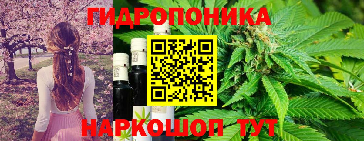 Шишки марихуана Bruce Banner  Бошки Шишки Amnesia  Бошки марихуана VHQ  Бошки марихуана сатива  Вход с VPN  Кирово-Чепецк 